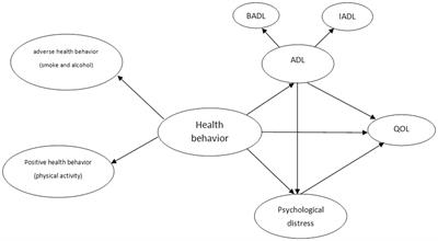 The relationship between health behaviors and quality of life: the mediating roles of activities of daily living and psychological distress